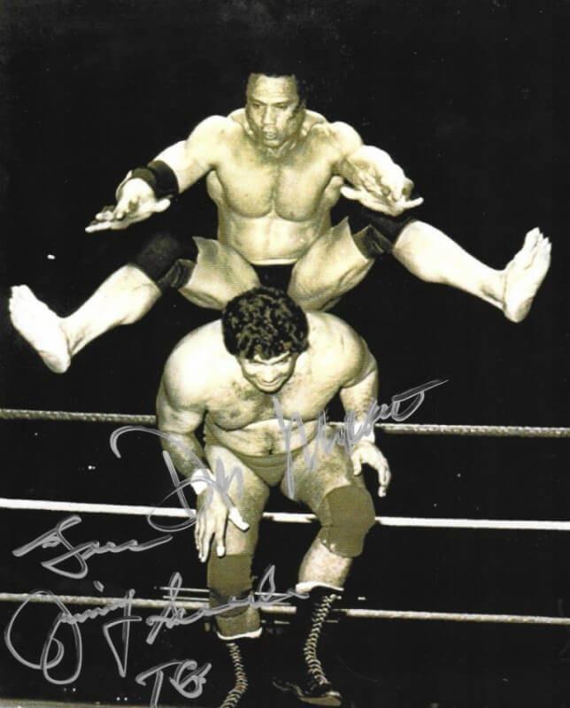don muraco action figure